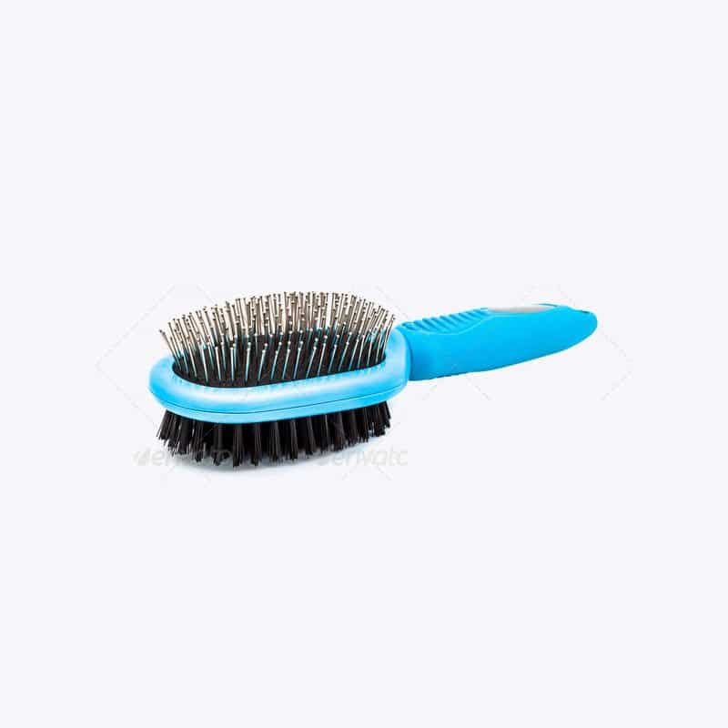 Wire Pin Brush