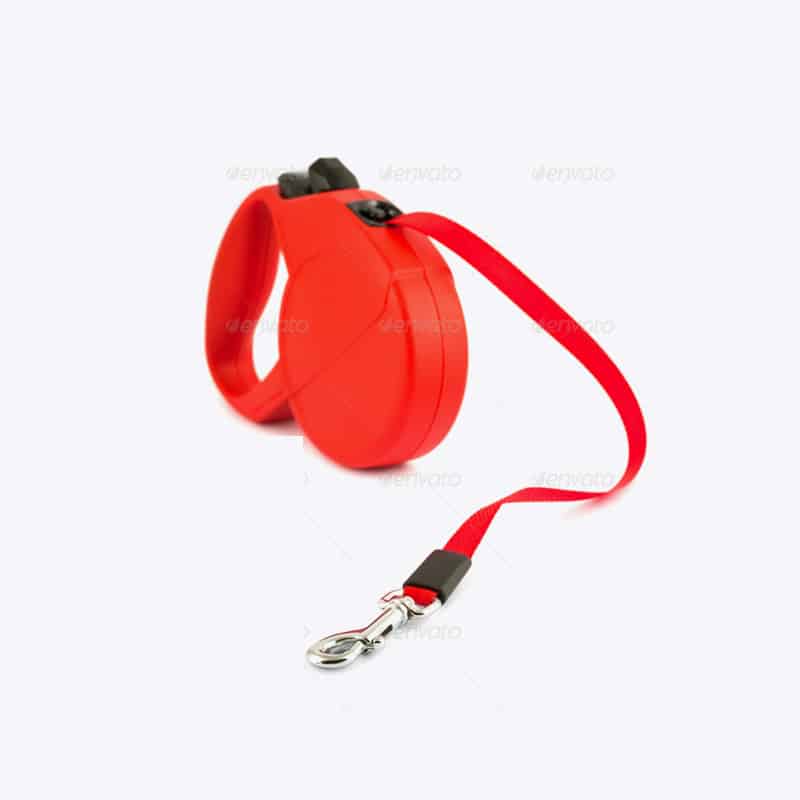 Harness Lead Leash