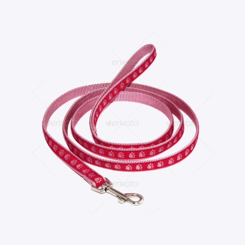 Poyester Collar Leash