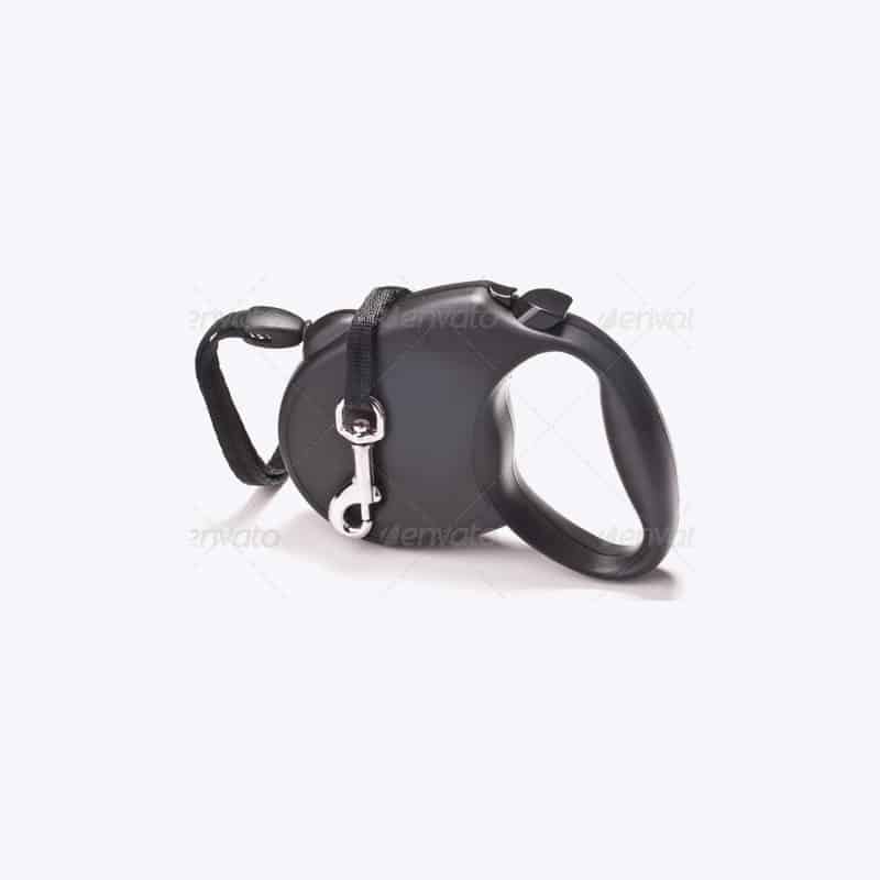 Retractble Leash