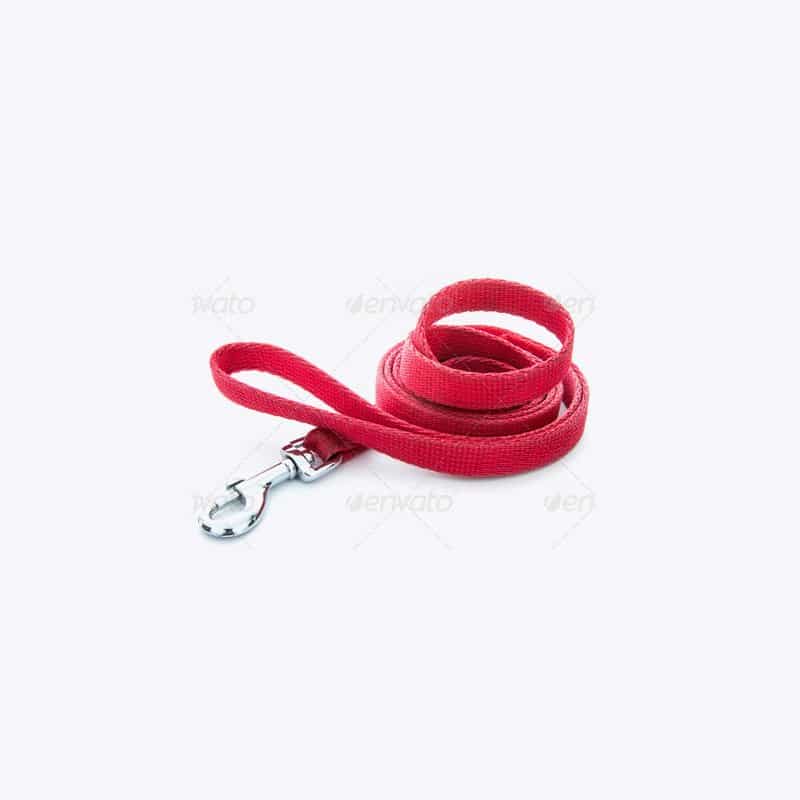 Female Dog Leash