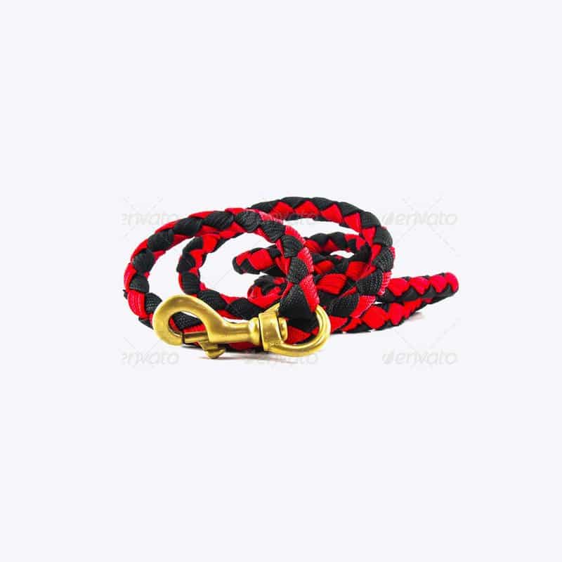 Color Pets Leash